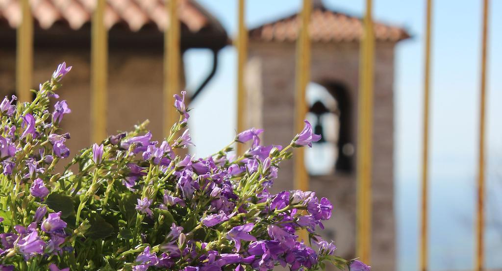 La Scuola Guesthouse Lusiana Dış mekan fotoğraf